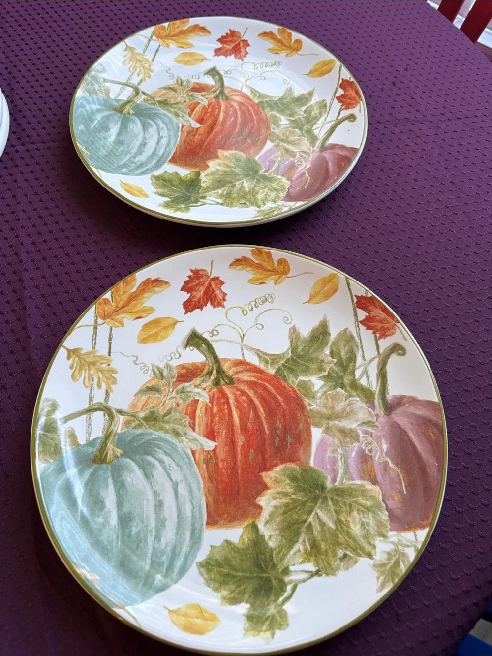 Set of 2 new “Autumn Harvest” dinner plates